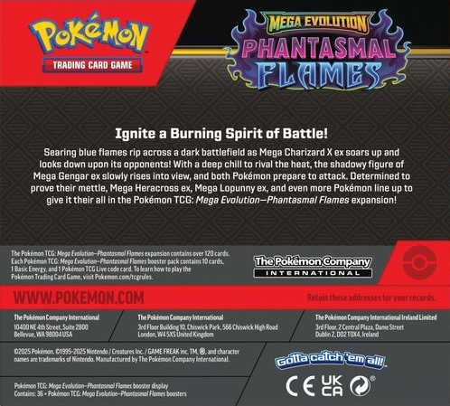 Pokeman Dummy Product